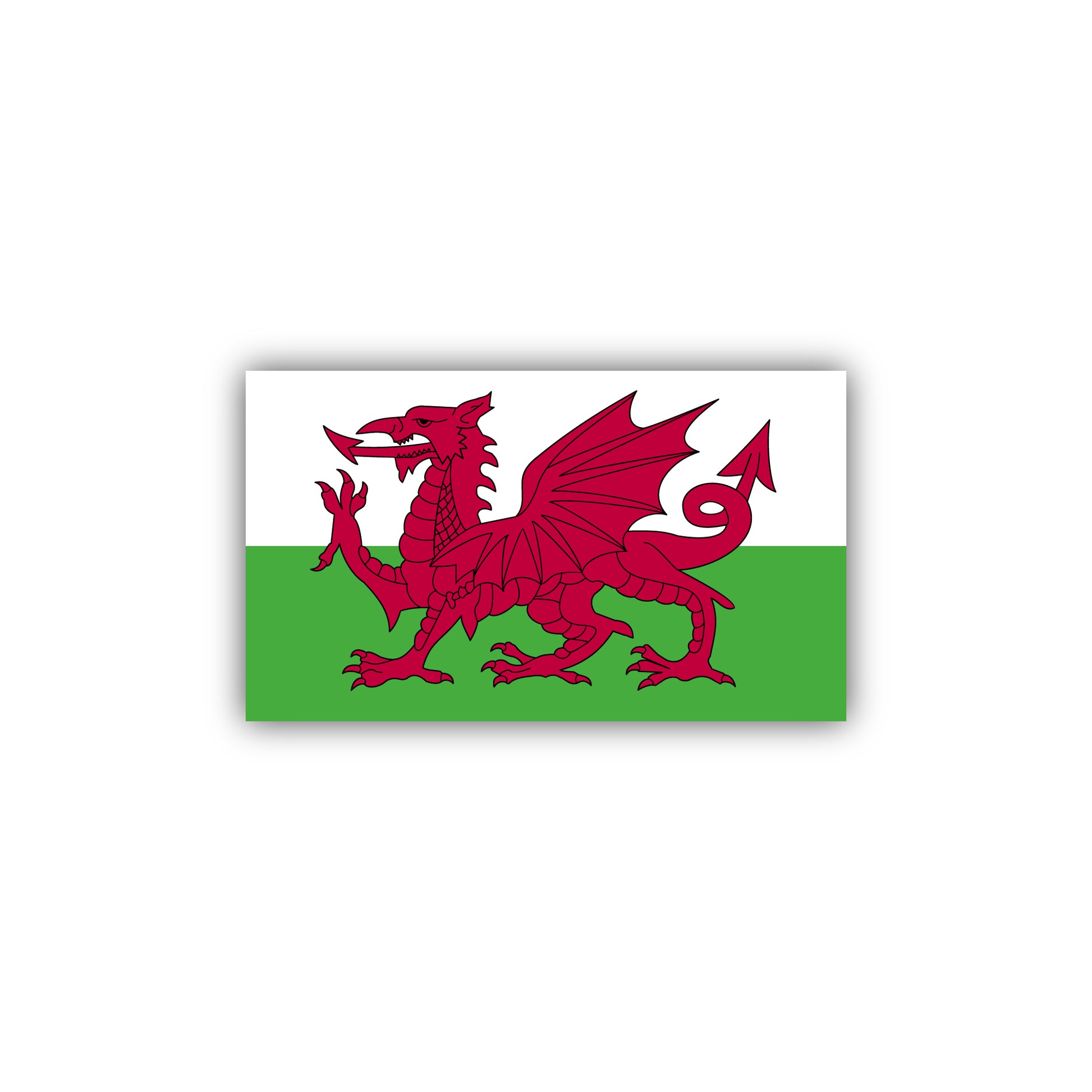 Wales Fridge Magnet